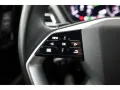 Audi Q4 e-tron S line