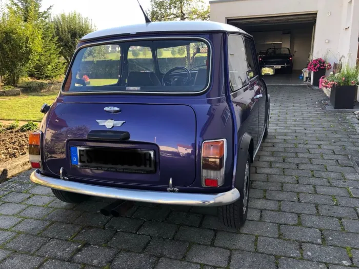 MINI 1000