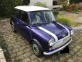 MINI 1000
