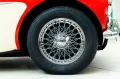 Austin Healey 100/6