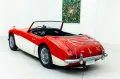 Austin Healey 100/6
