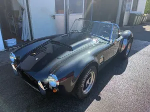 Cobra Andere