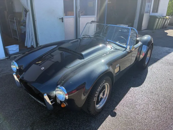 Cobra Andere