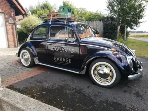 Volkswagen VW Käfer Faltdach BJ 1965 Top