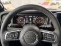 Jeep Wrangler Unlimited Sahara 2.0 T-GDI Allrad Hardt
