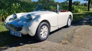 Austin Healey Andere