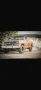 Chevrolet K10