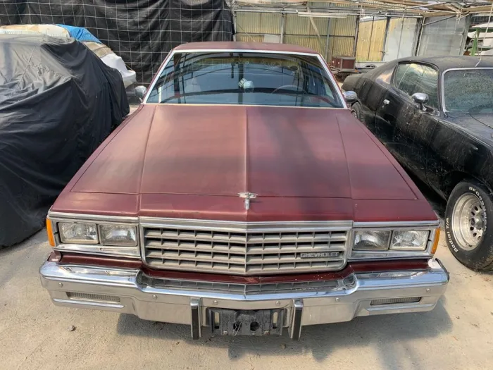 Chevrolet Caprice Classic 1981 - 5.0 L -V8 - H-Kennzeichen