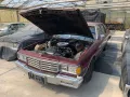 Chevrolet Caprice Classic 1981 - 5.0 L -V8 - H-Kennzeichen