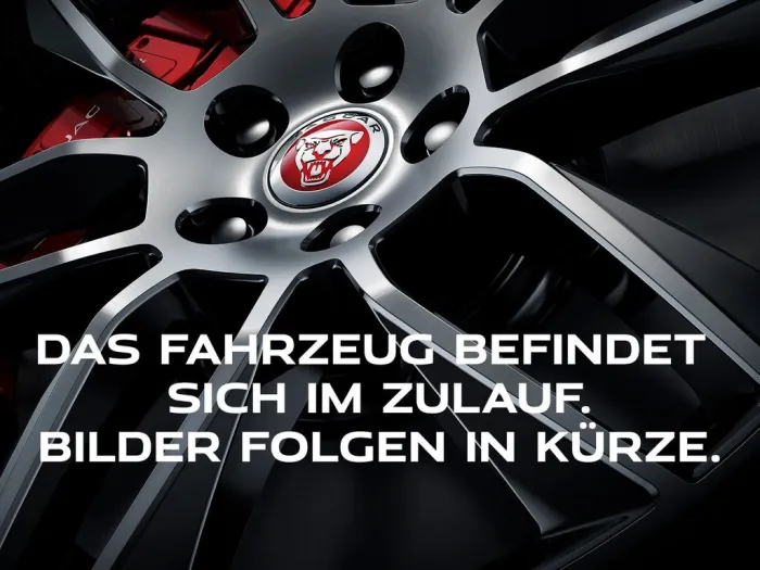 Jaguar F-Type P300 R-Dynamic Cabrio (LED ACC Leder)