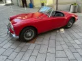 MGA