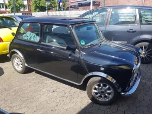 MINI 1000