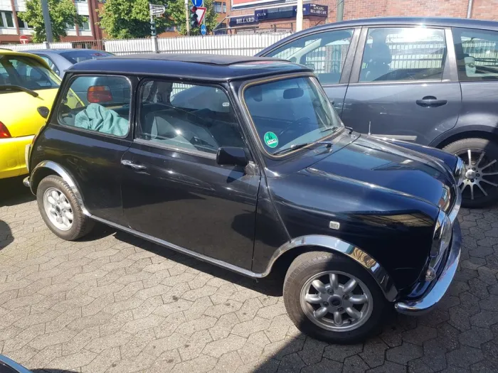MINI 1000