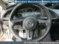 Mazda 3 2.5L e-SKYACTIV G Automatik Homura+Lenkradheiz