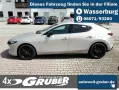 Mazda 3 2.5L e-SKYACTIV G Automatik Homura+Lenkradheiz