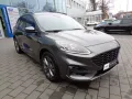 Ford Kuga ST-Line X Navi Styling-Paket/Winter-Paket