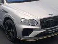 Bentley Bentayga 4.0 V8 Speed Individual Carbon MegaVoll