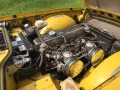 Triumph TR6