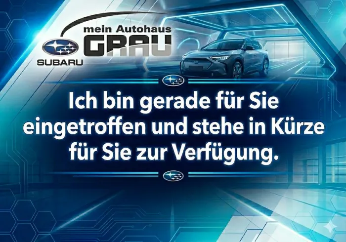 Subaru OUTBACK Outback Platinum