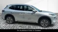 Geely Starray EM-i 1.5 Pro-FSH-LHZ*verschiedene Farben