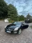 Mercedes-Benz SLK 250 BlueEFF. Autom. Standard