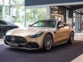 Mercedes-Benz AMG GT 43 kalaharigold MATTLACK Performance Sitz
