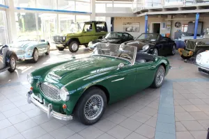 Austin Healey 100/6  BN6L 851