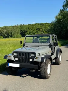 Jeep Wrangler YJ 4.0, Top Zustand