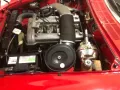 Alfa Romeo Spider