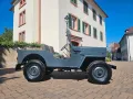 Jeep Willys/Schweizer Fahrzeug/H-Zulassung