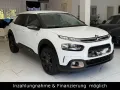 Citroën C4 Cactus Origins Garantie bis 09.2027