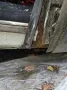 Citroën Citroen DS 21 IE - Restaurationsobjekt mit...