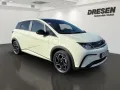 BYD Dolphin 60,4 kWh Design  Panorama/Sitzheizung/36
