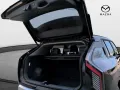 Kia EV3 58,3 KWH EARTH *LED* KAMERA* NAVI*