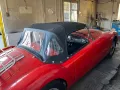 MGA