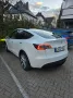 Tesla Model Y Standard Plus 299 PS MwSt.