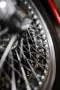 Triumph TR6 Doppelvergaser * Neulack *