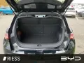BYD Dolphin Comfort DMS AUT Fernlichtass. LED LM SHZ