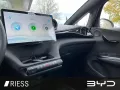 BYD Dolphin Comfort DMS AUT Fernlichtass. LED LM SHZ
