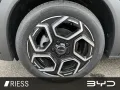 BYD Dolphin Comfort DMS AUT Fernlichtass. LED LM SHZ