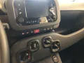 Fiat Pandina Icon Hybrid Dach schwarz Parkpilot Tempo