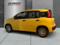 Fiat Pandina Icon Hybrid Dach schwarz Parkpilot Tempo