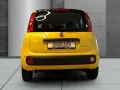 Fiat Pandina Icon Hybrid Dach schwarz Parkpilot Tempo