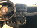 Fiat Pandina Icon Hybrid Dach schwarz Parkpilot Tempo