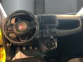 Fiat Pandina Icon Hybrid Dach schwarz Parkpilot Tempo