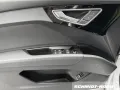 Audi Q4 E-TRON 45 S line MATRIX + NAVI + RFK Head-up