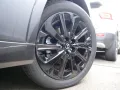 Mazda CX-60 e-SKYACTIV-D 254 Homura ACC HUD LED 360°