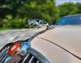 Jaguar MK2/ MKII  Oldtimer 2,4l/ Overdrive