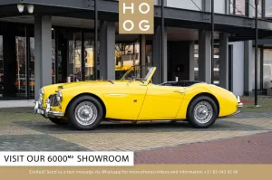 Austin Healey 100-6