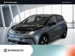 BYD Dolphin Design